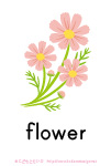 flower_card